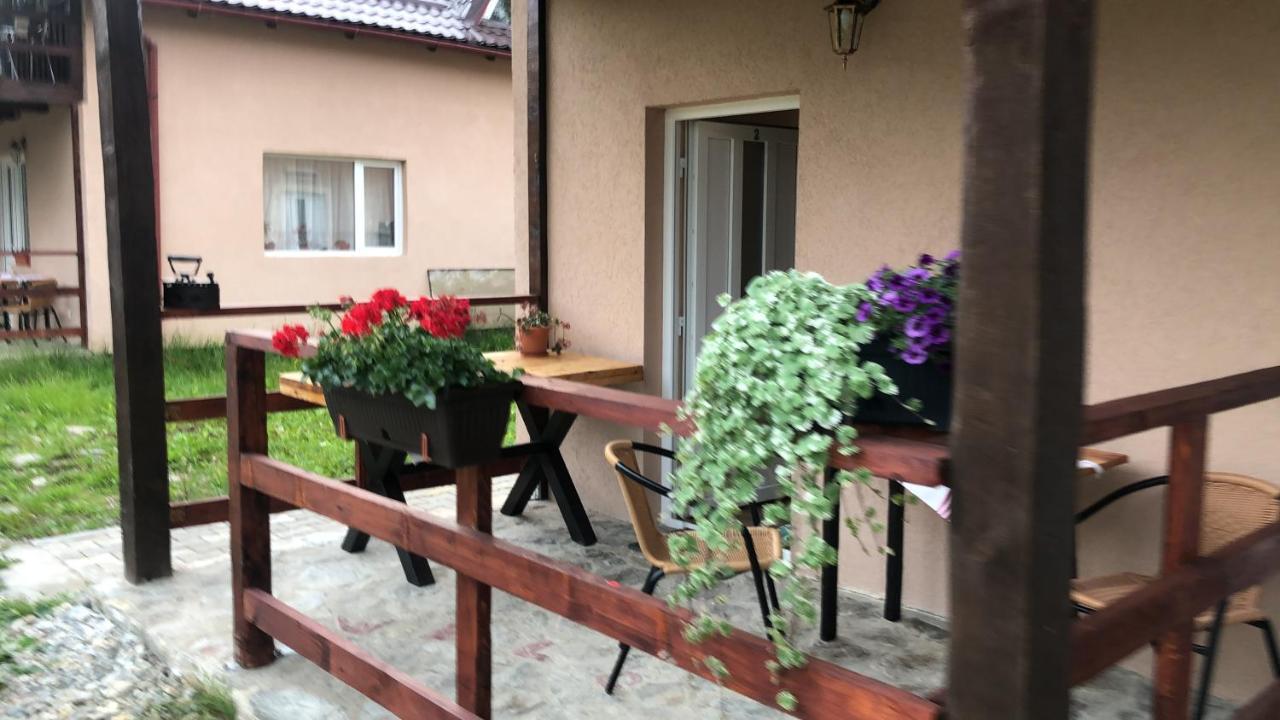 Casa Albert Valea Avrigului מראה חיצוני תמונה
